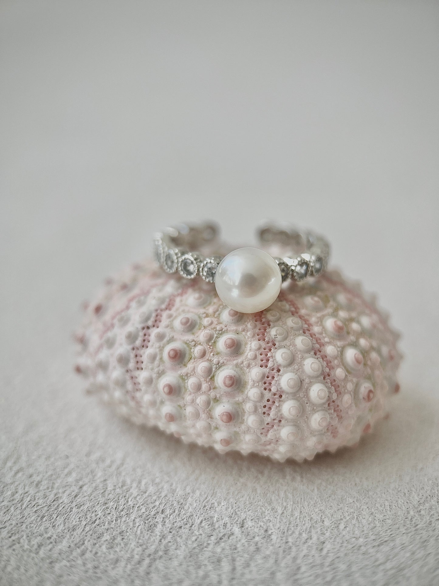 Pearl bracelet on a white sea urchin shell against a light gray background