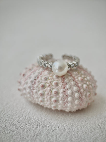 Pearl bracelet on a white sea urchin shell against a light gray background