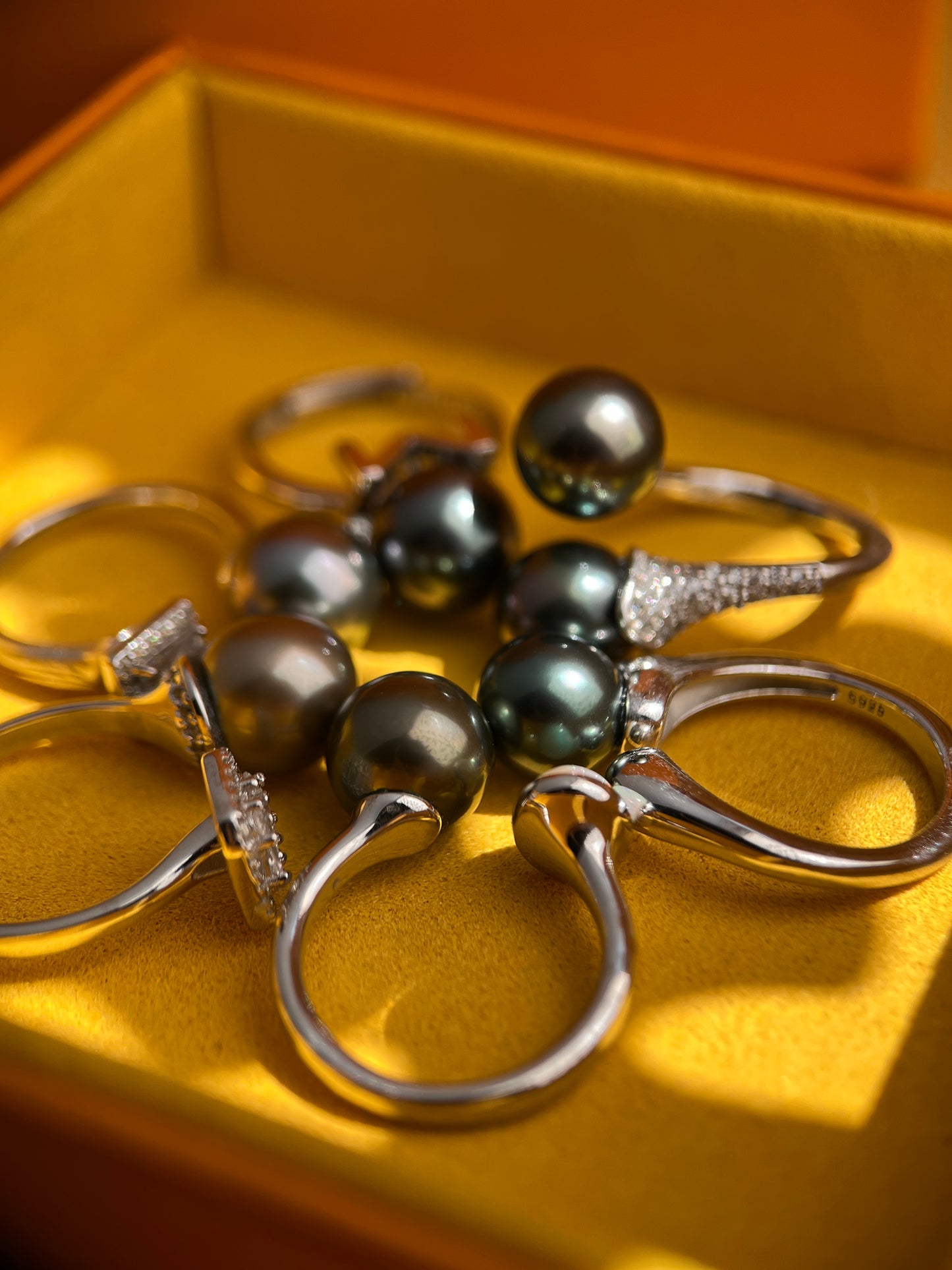 Silver rings with black Tahitian pearls on a gold surface