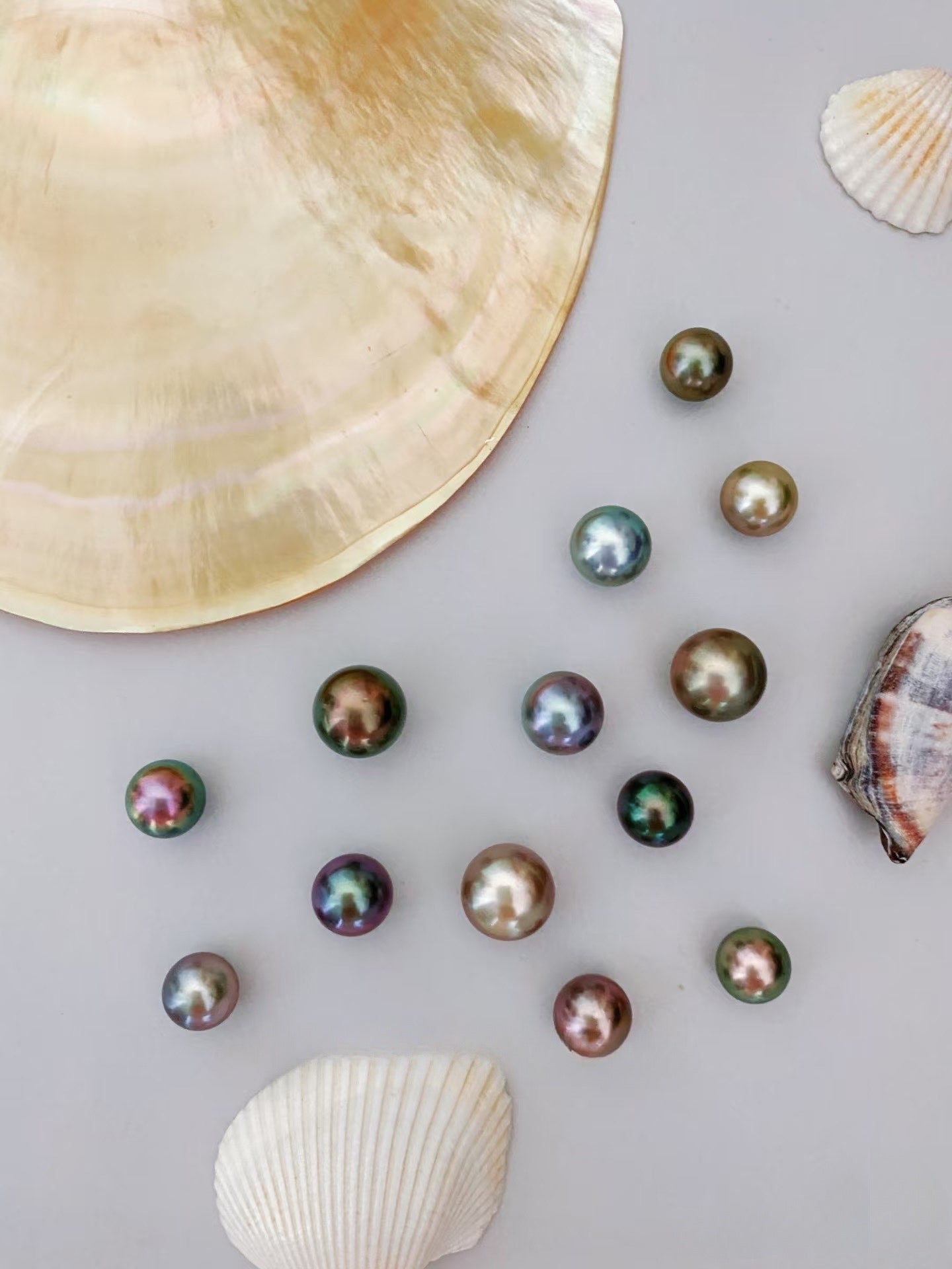 Pearls and seashells on a light gray background
