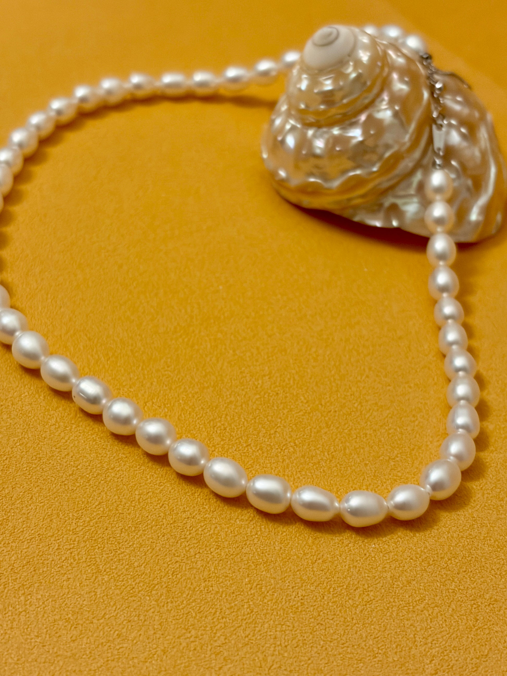 Oval Shaped White Freshwater Pearl Strand Necklace