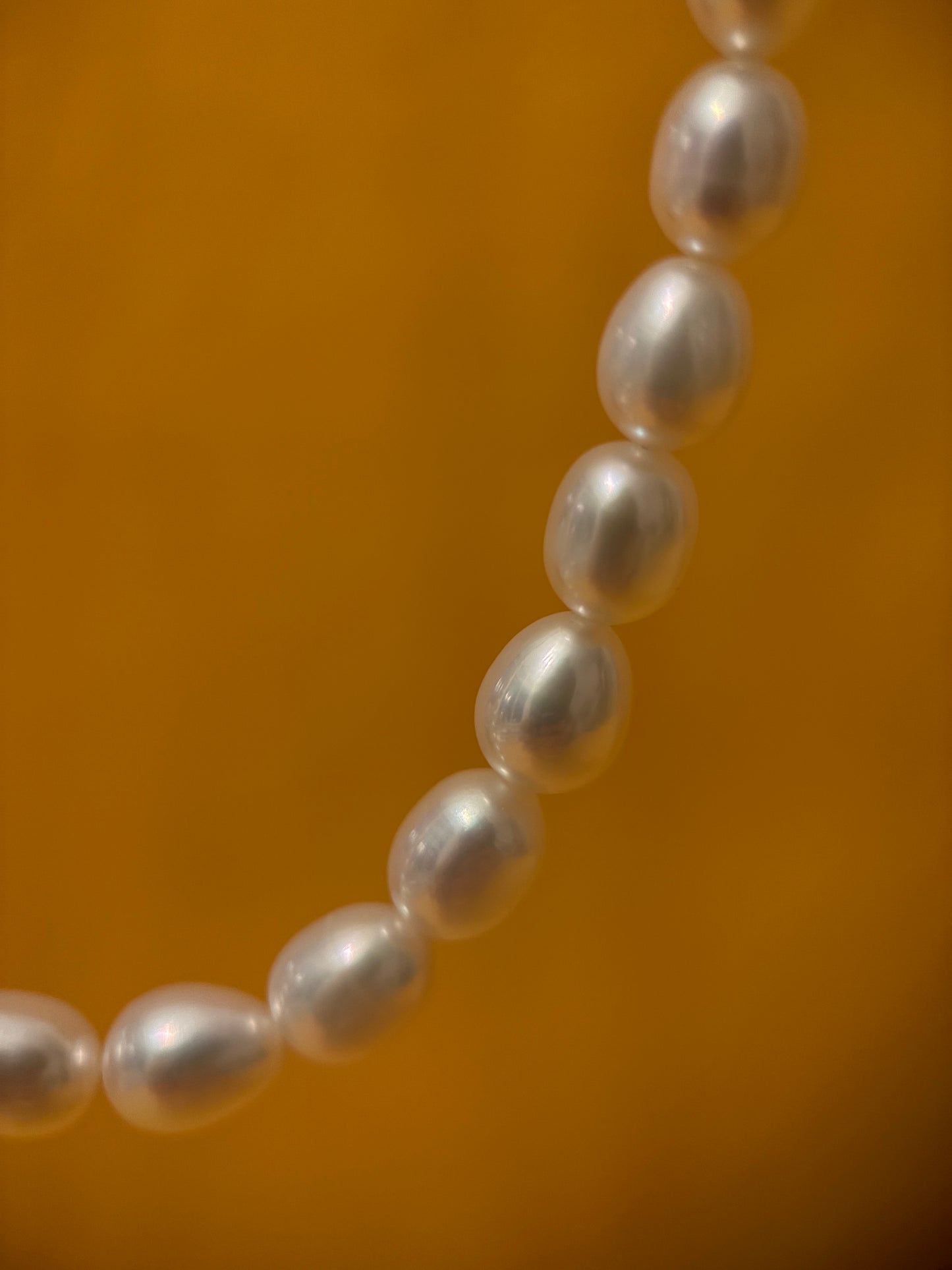Close-up of a pearl necklace on a blurred background